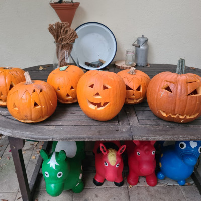 Jahresfeste feiern Jahresfeste feiern