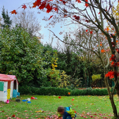Viel Platz zum Toben im Garten Viel Platz zum Toben im Garten